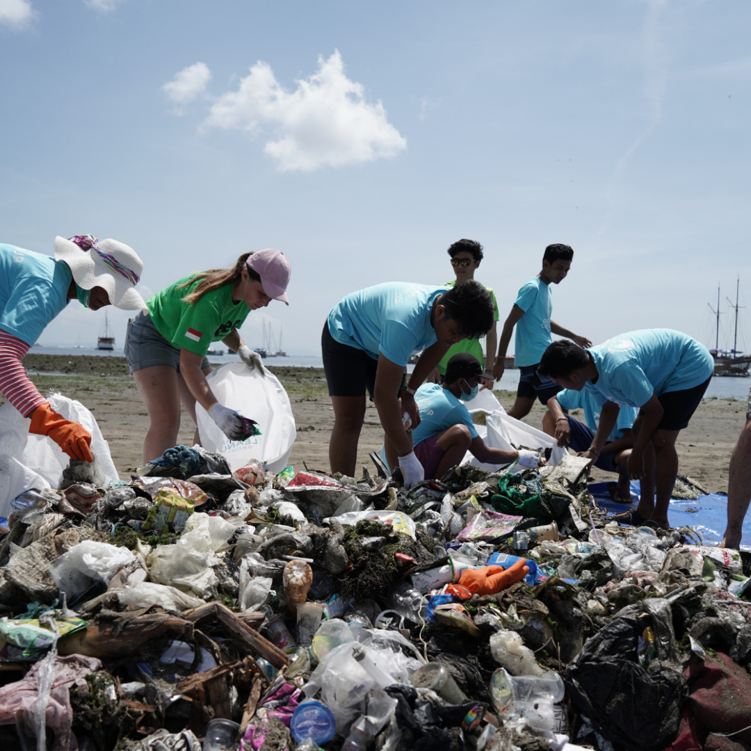 Cosmétique et environnement, l'heure de passer au vert
